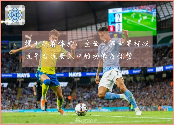 提升观赛体验，全面了解世界杯投注平台注册入口的功能与优势