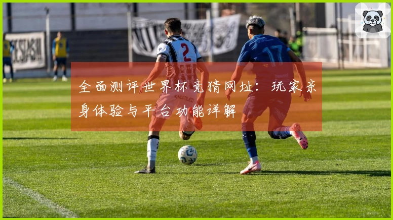 全面测评世界杯竞猜网址：玩家亲身体验与平台功能详解