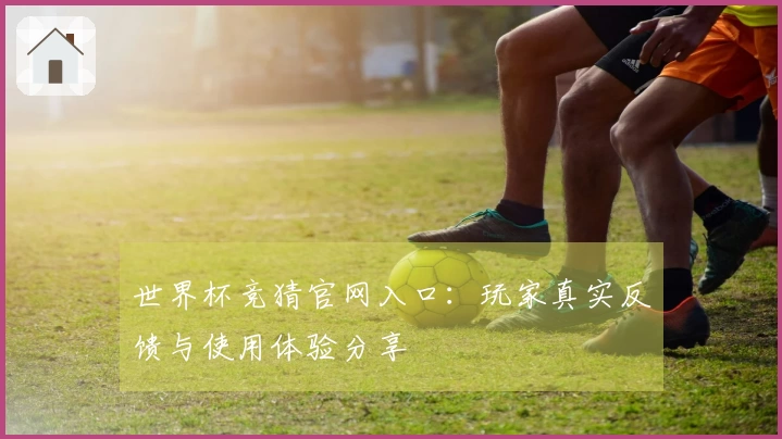世界杯竞猜官网入口：玩家真实反馈与使用体验分享