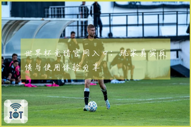 世界杯竞猜官网入口：玩家真实反馈与使用体验分享