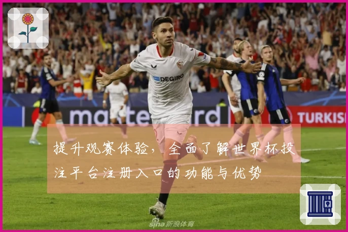 提升观赛体验，全面了解世界杯投注平台注册入口的功能与优势
